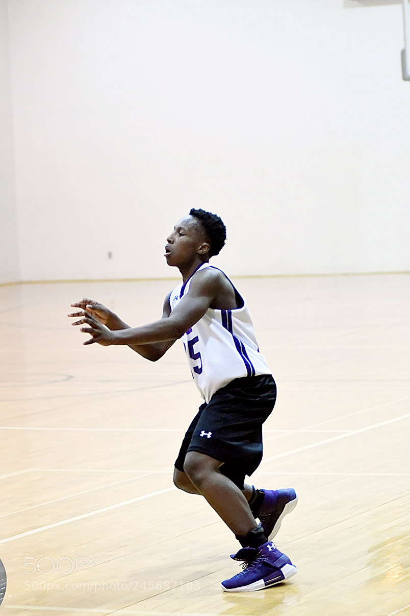 Nikon D500 sample photo. Dsc photography