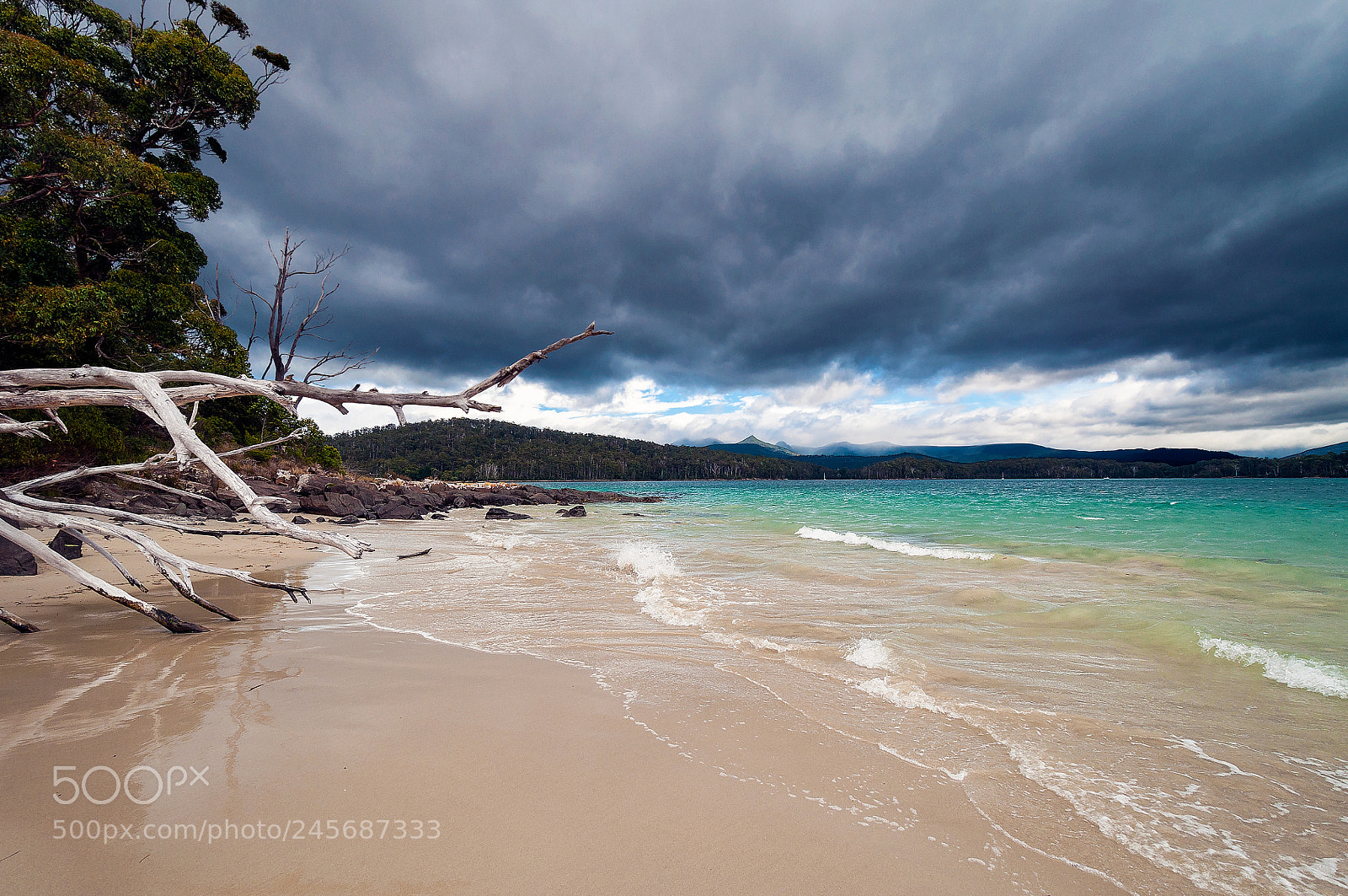 Nikon D5000 sample photo. Cockle creek | tasmania photography
