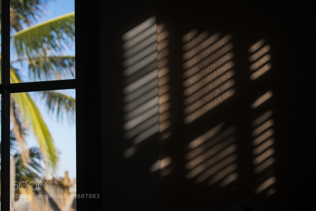 Nikon D3400 sample photo. Insideshadows photography