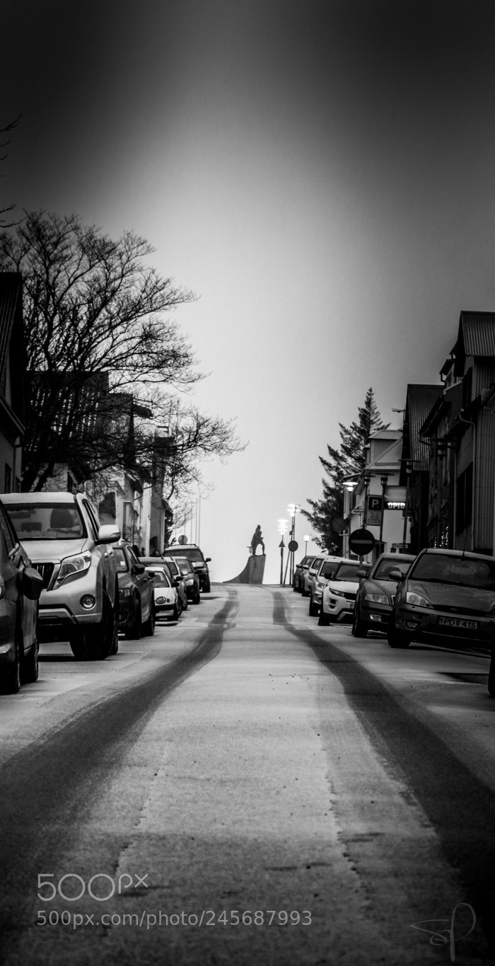 Nikon D5500 sample photo. The path photography