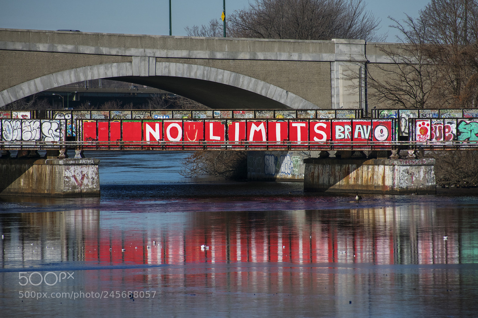Nikon D3400 sample photo. Zommedinbridge photography