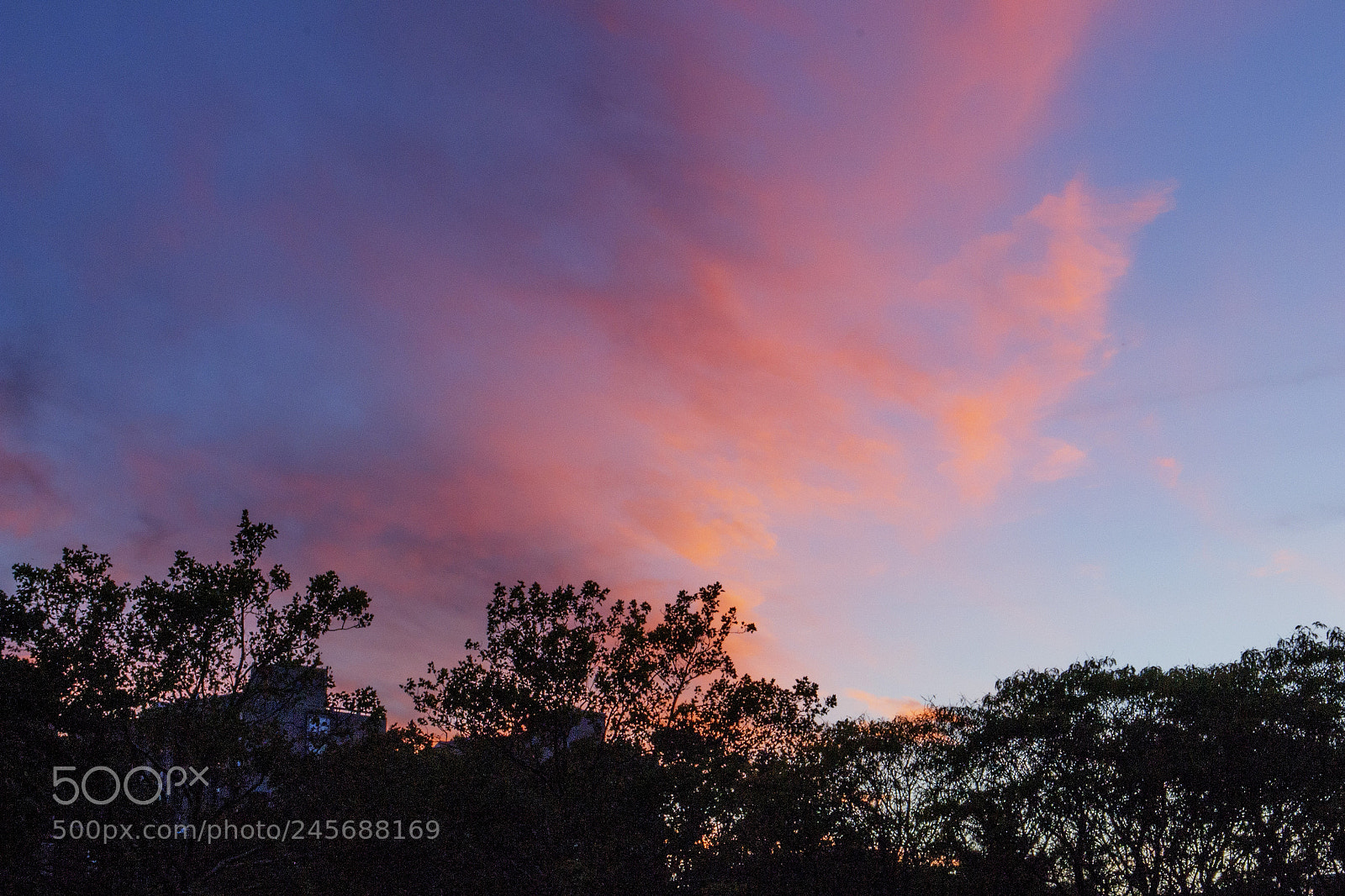Nikon D3100 sample photo. Bubblegumsky photography