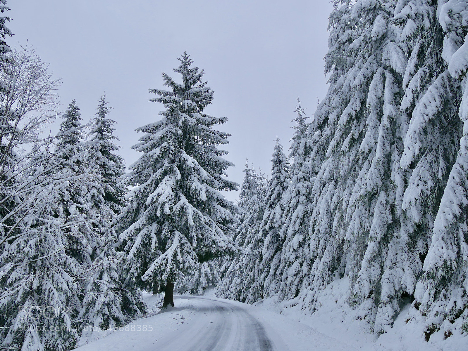 Panasonic DMC-G70 sample photo. Winter wonderland photography