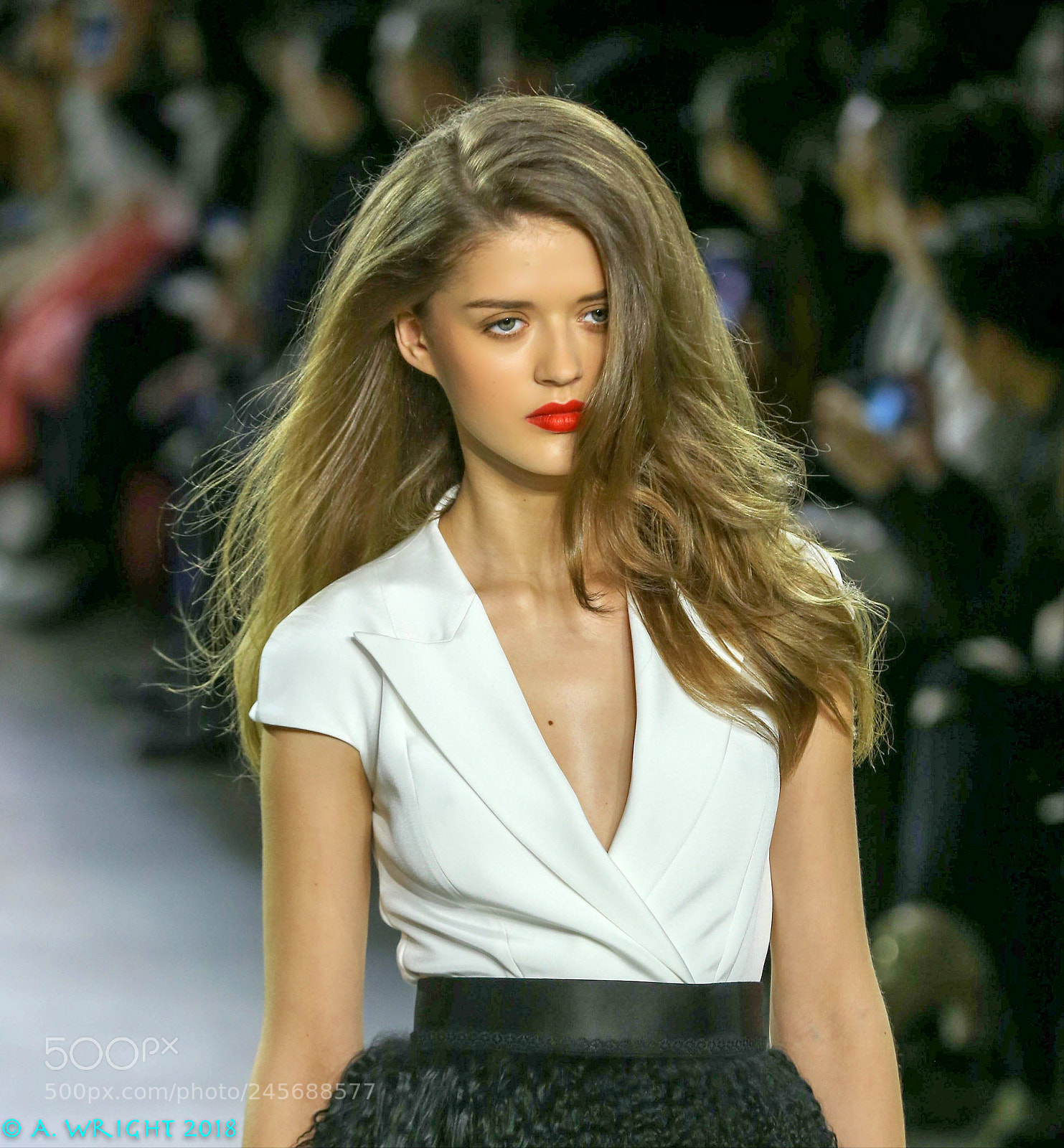 Canon EOS-1D X sample photo. New york fashion week photography