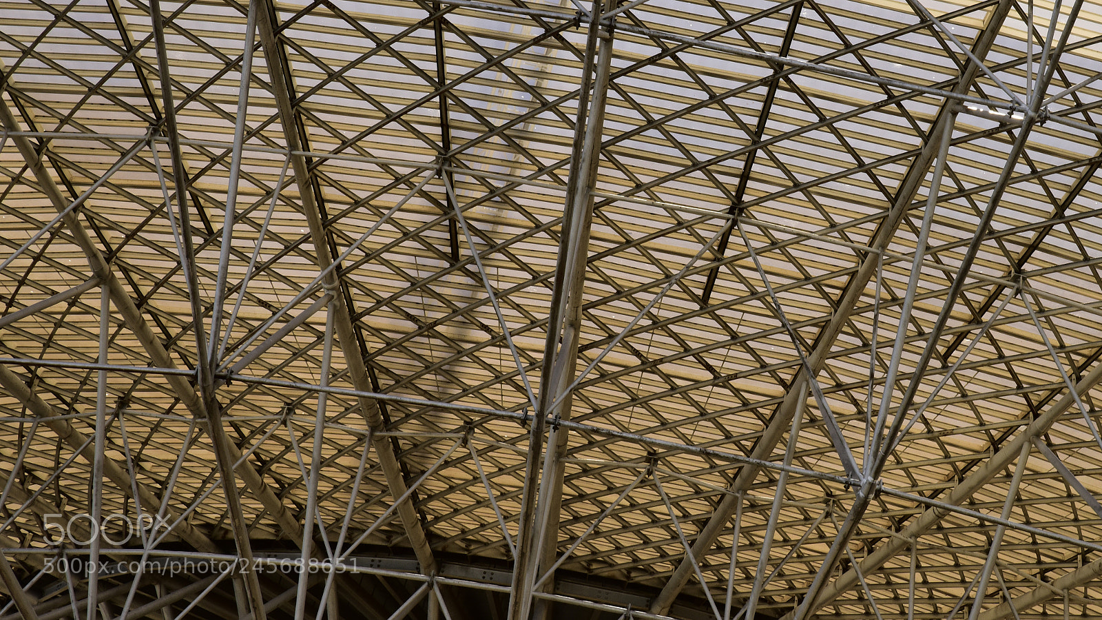 Nikon D810 sample photo. The dish photography
