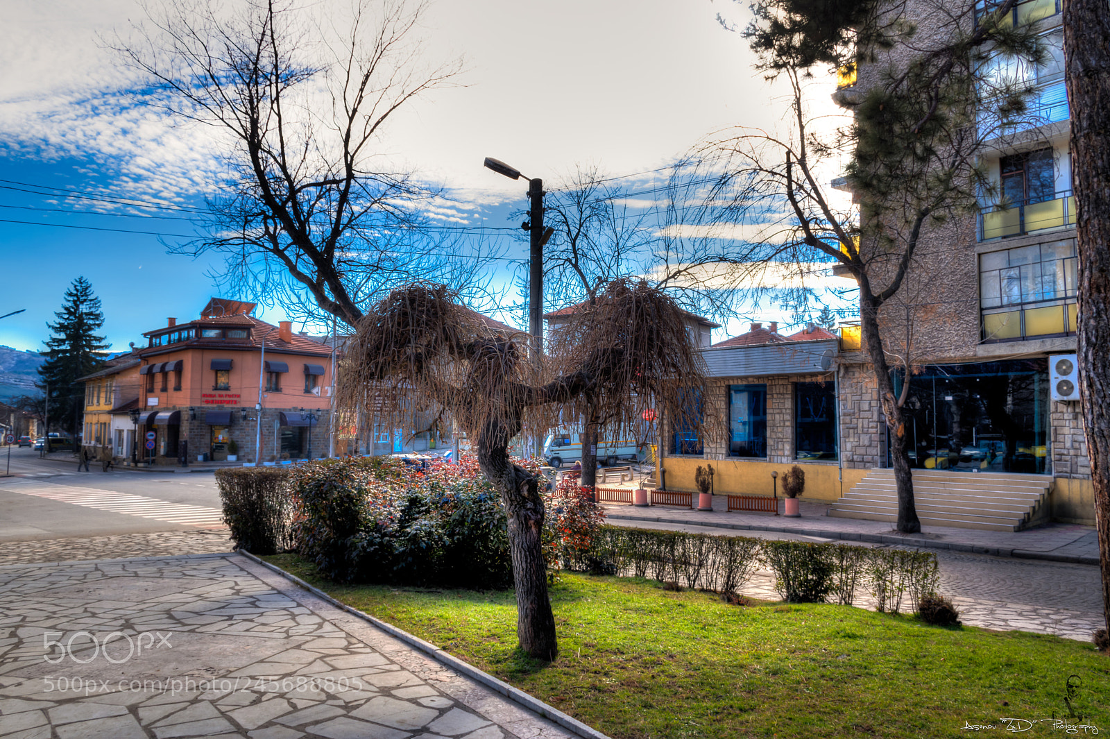 Nikon D5500 sample photo. Tree hdr photography