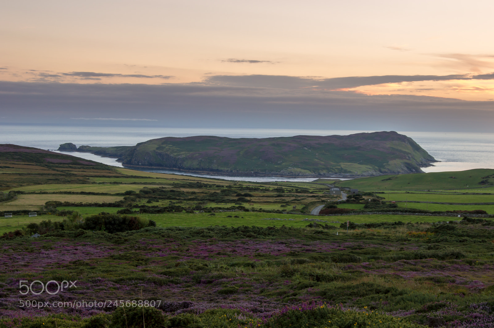 Nikon D3200 sample photo. The calf of man photography