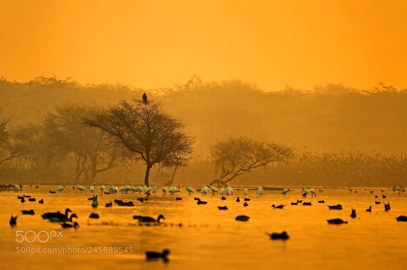 Nikon D700 sample photo. Scape photography