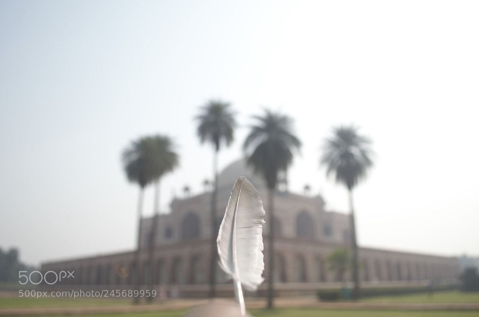 Nikon D5100 sample photo. Untitled photography