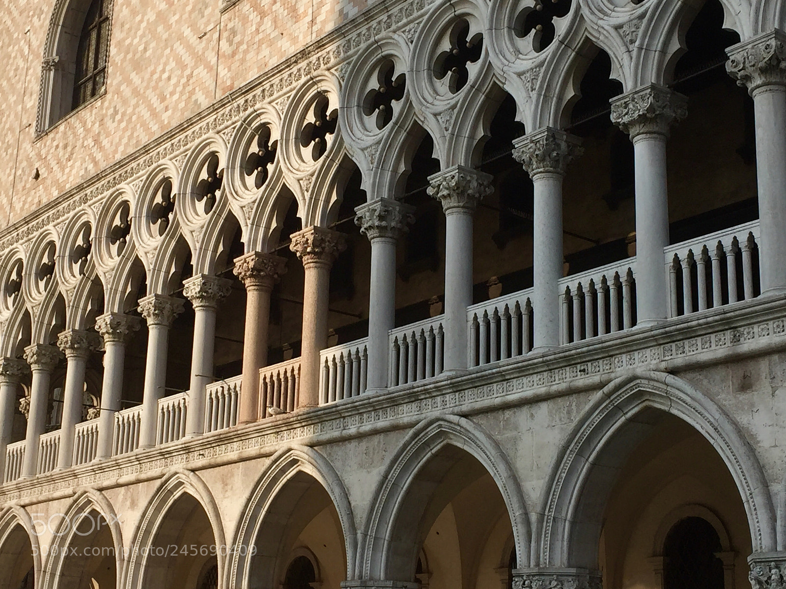 Apple iPhone 6 sample photo. Untitled photography