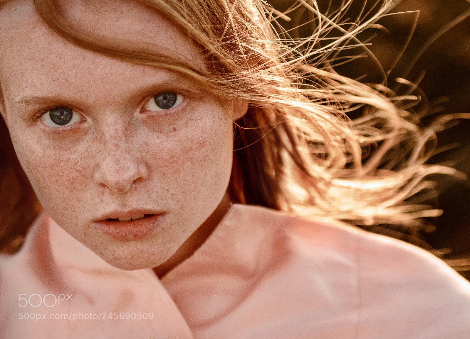 Nikon D7100 sample photo. Рыжая photography