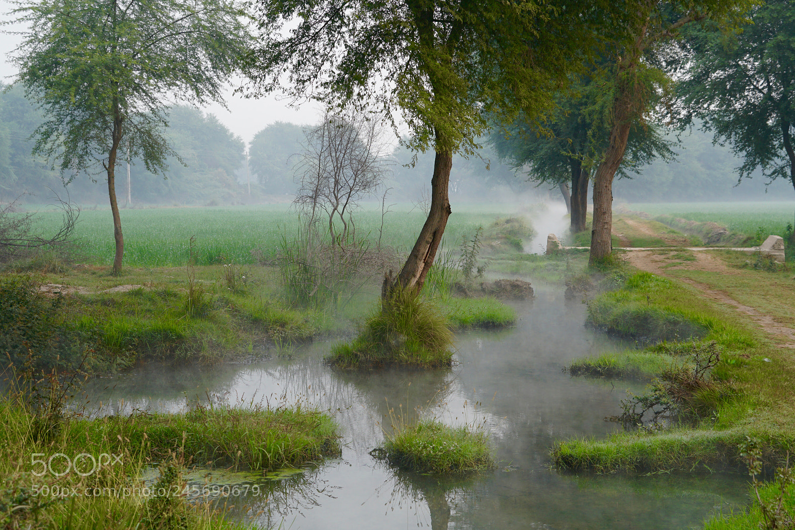 Sony a6300 sample photo. Misty morning photography