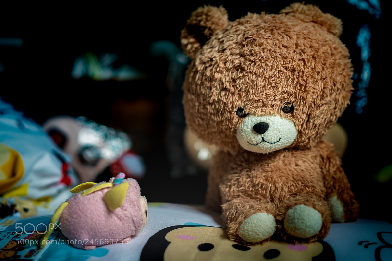 Sony a6500 sample photo. Teddy photography