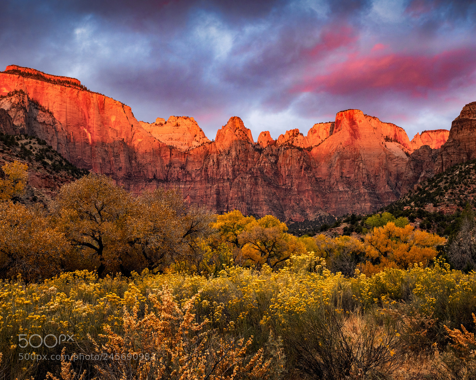 Nikon D850 sample photo. Red morning photography