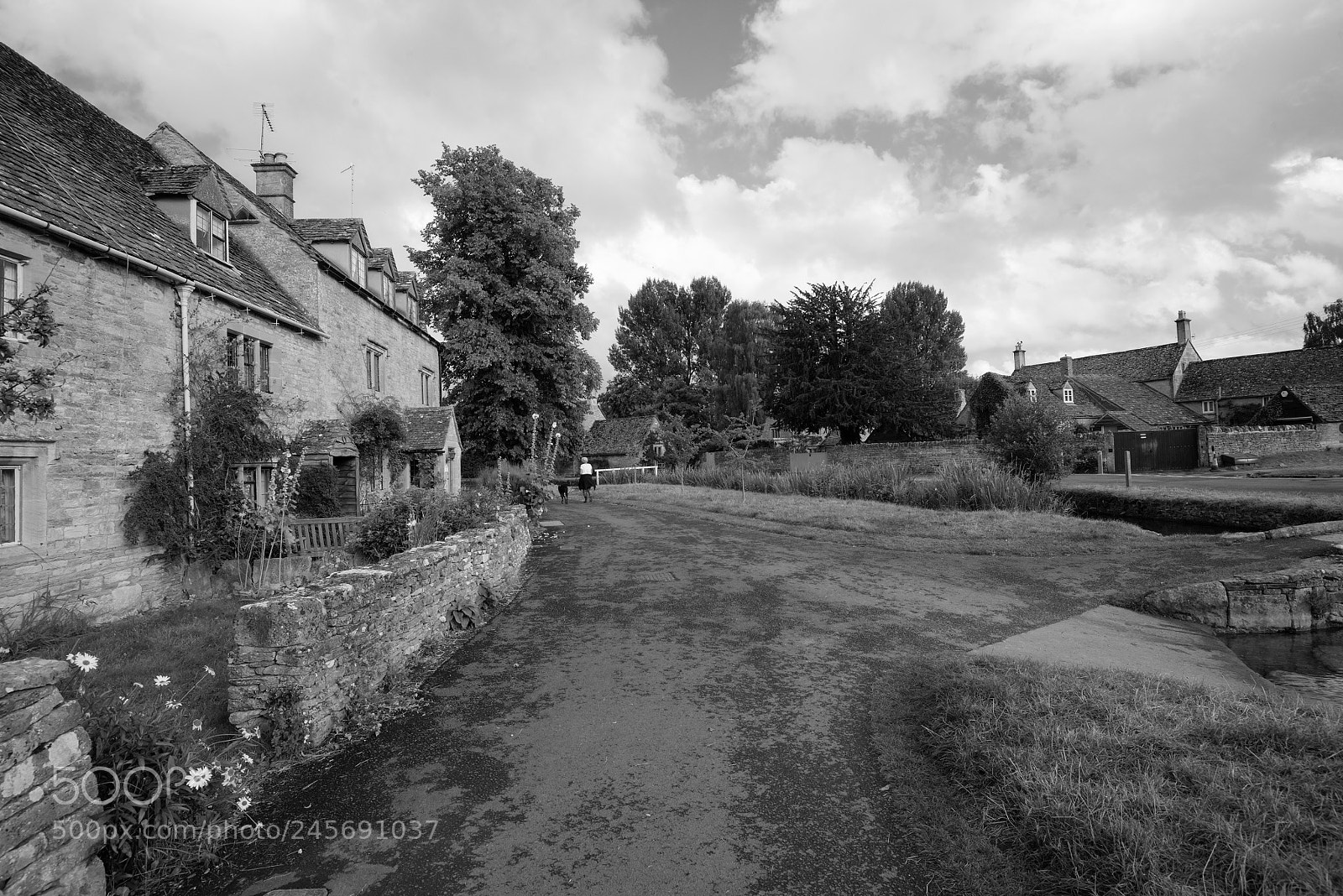 Nikon D800 sample photo. A walk in the photography
