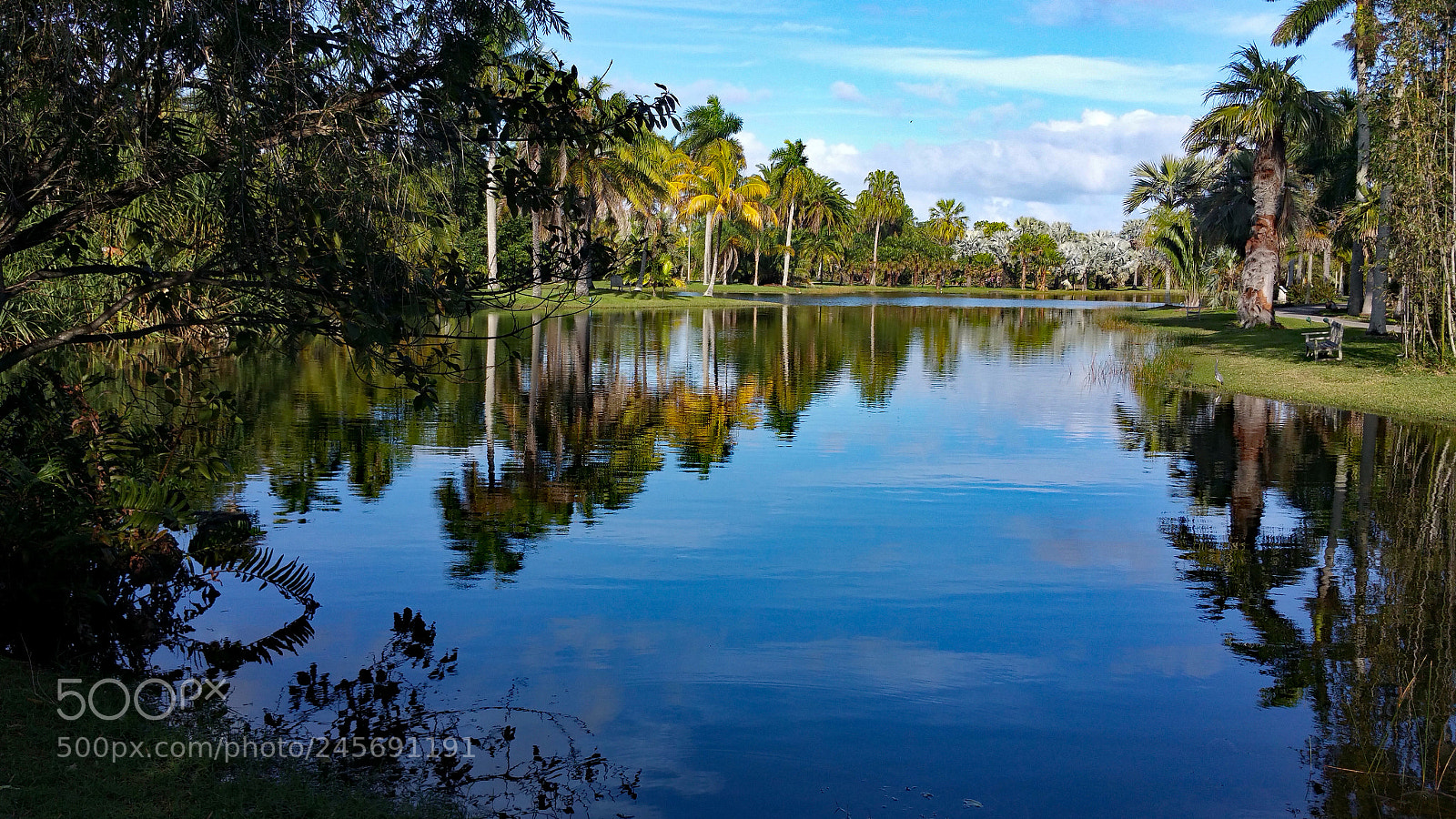 Samsung Galaxy Note4 sample photo. Fairchild tropical garden photography