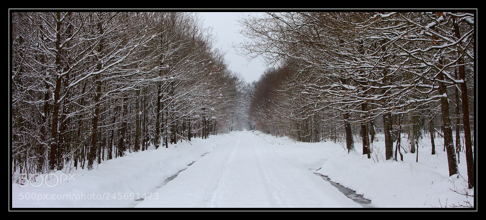 Sony Cyber-shot DSC-RX100 sample photo. Winter run photography