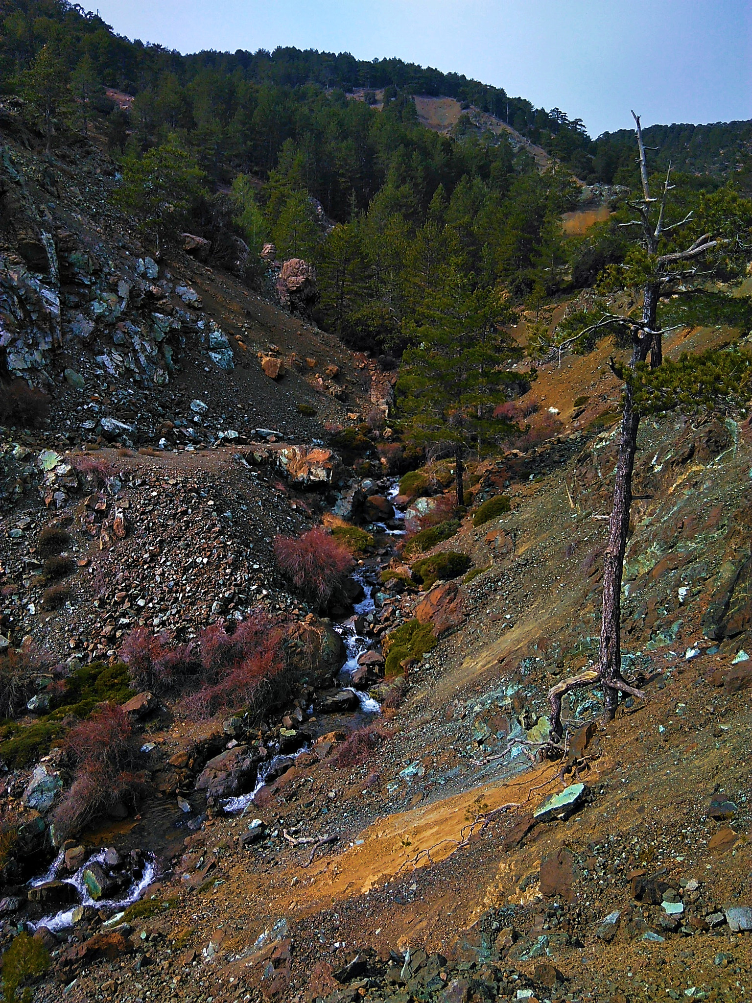 QCOM-AA QCAM-AA sample photo