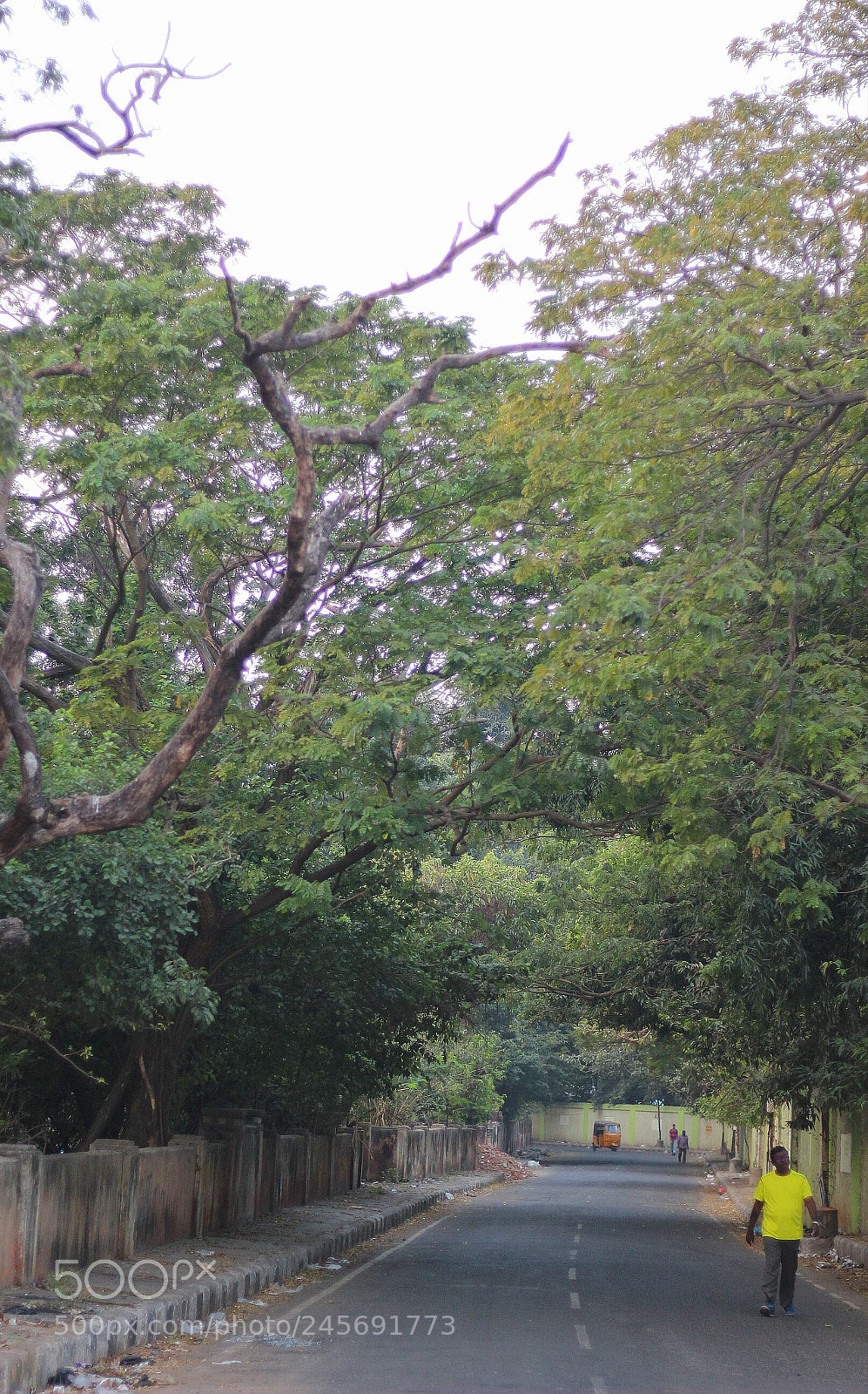 Canon EOS 600D (Rebel EOS T3i / EOS Kiss X5) sample photo. Victoria hostel road photography
