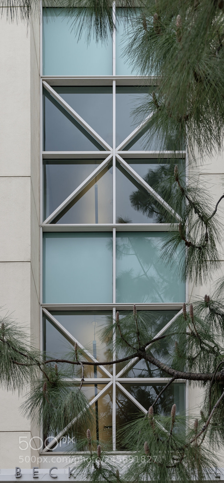 Nikon D5600 sample photo. Windows ii photography