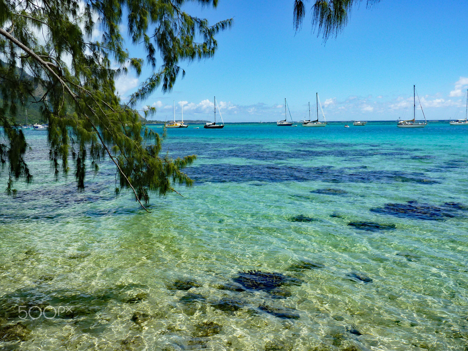 Panasonic Lumix DMC-FZ35 (Lumix DMC-FZ38) sample photo. Moorea in her quiet photography