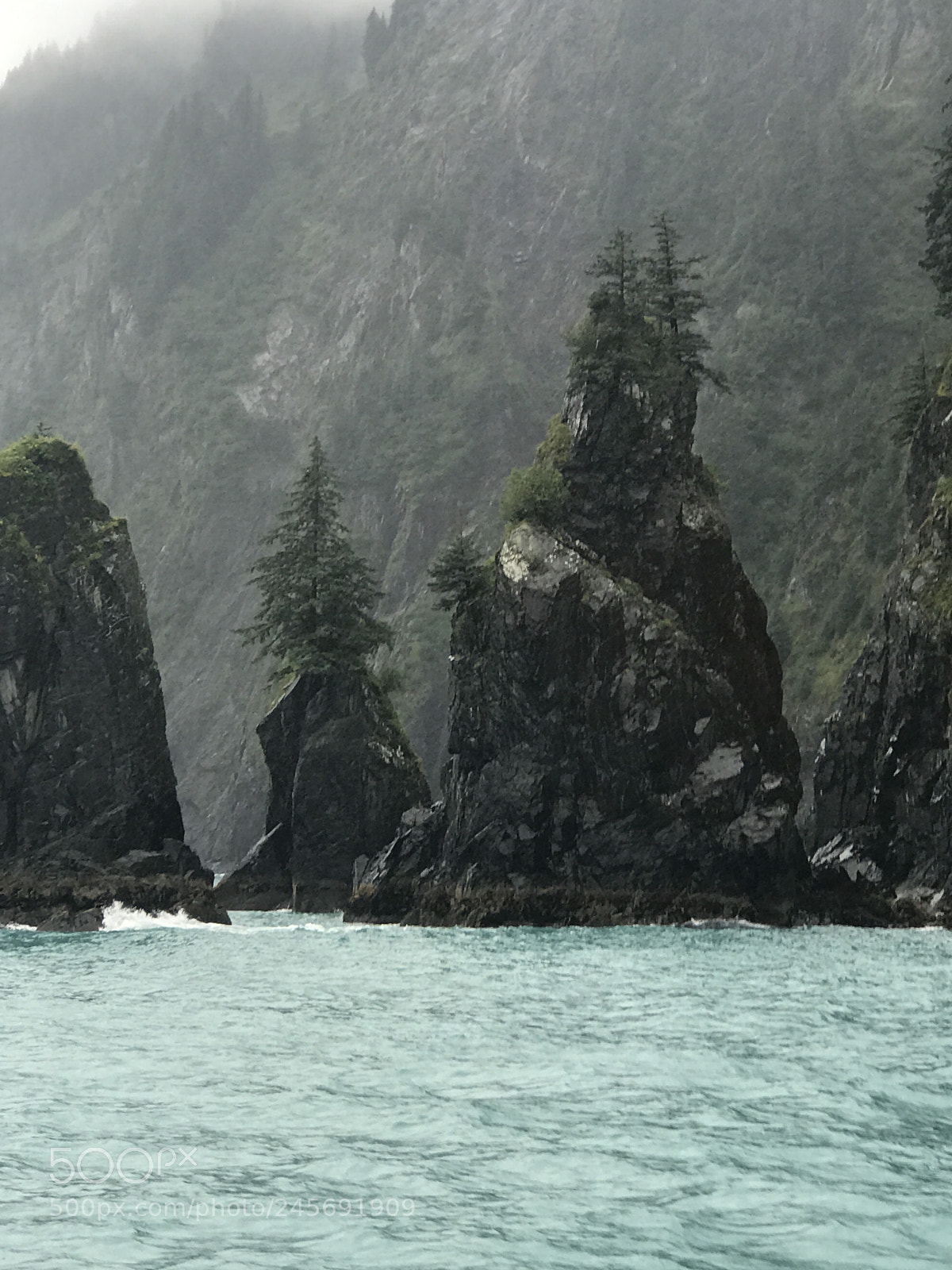 Apple iPhone 7 Plus sample photo. Kenai fjords national park photography
