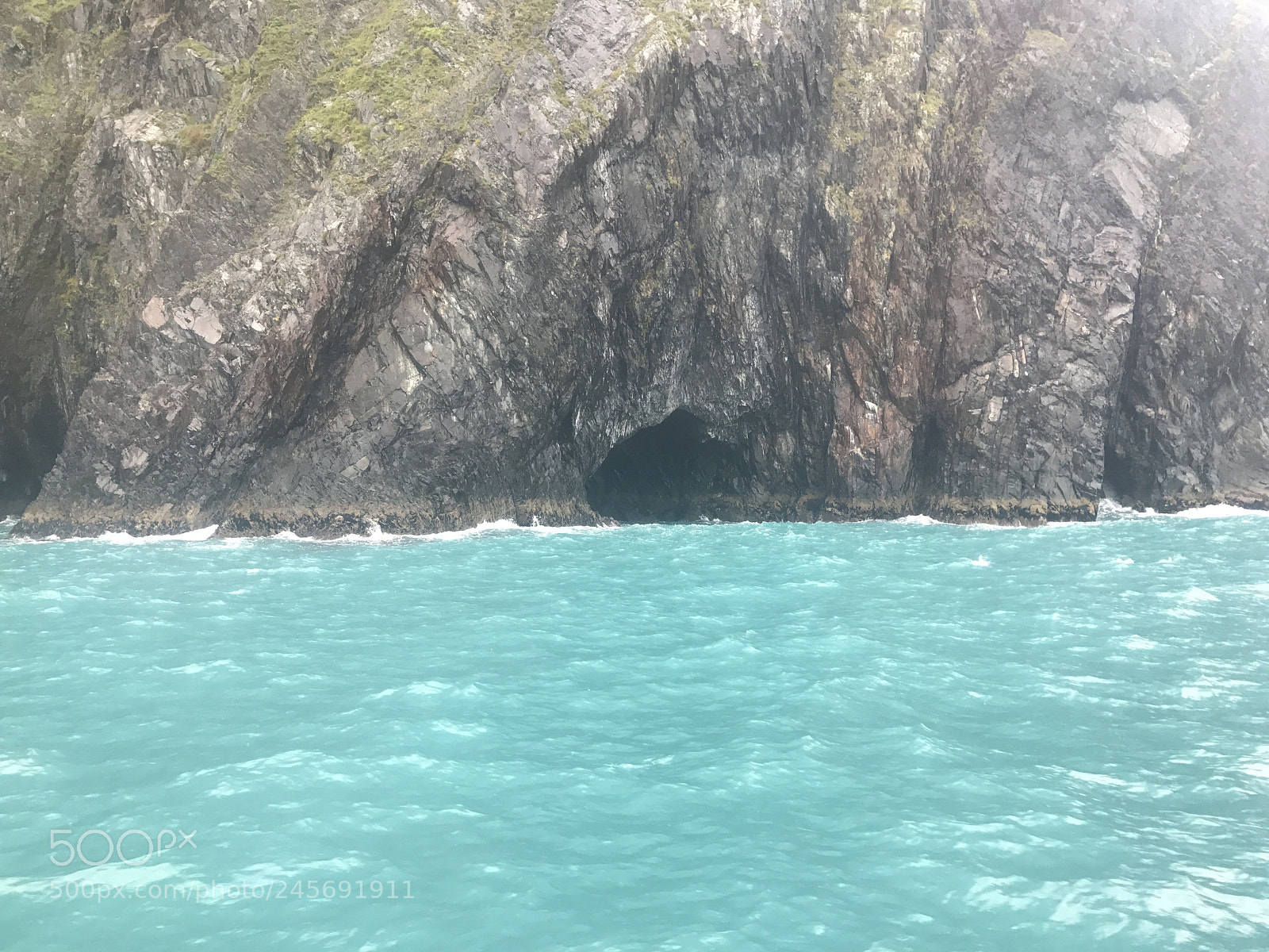 Apple iPhone 7 Plus sample photo. Kenai fjords national park photography