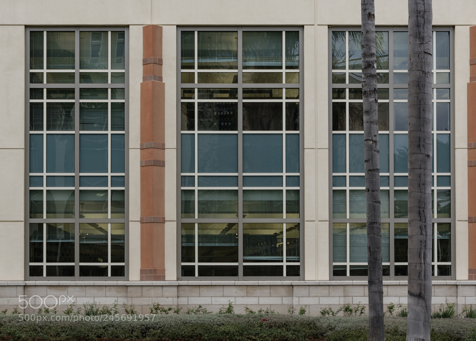 Nikon D5600 sample photo. Windows i photography