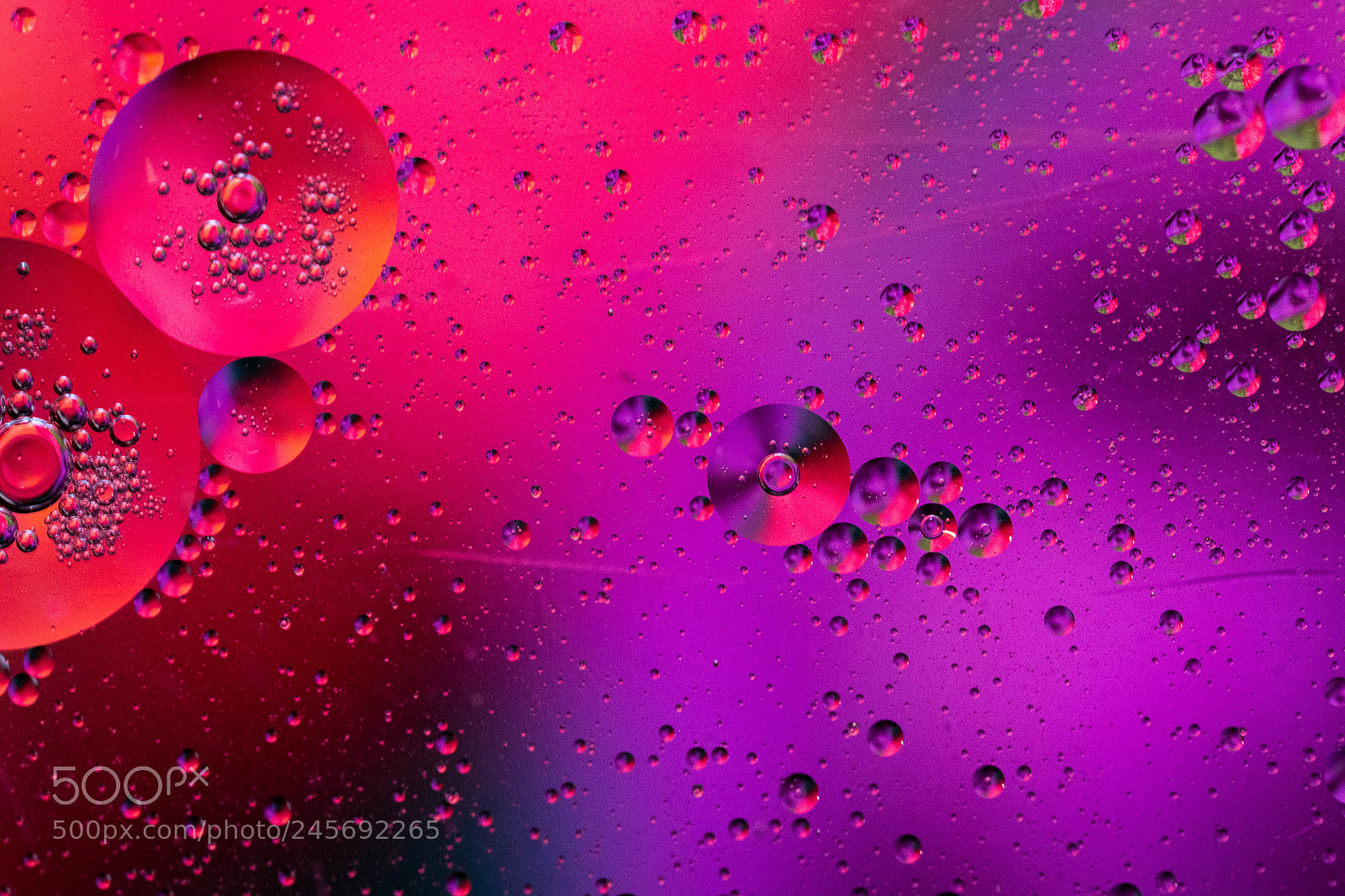 Sony a7R II sample photo. Untitled photography