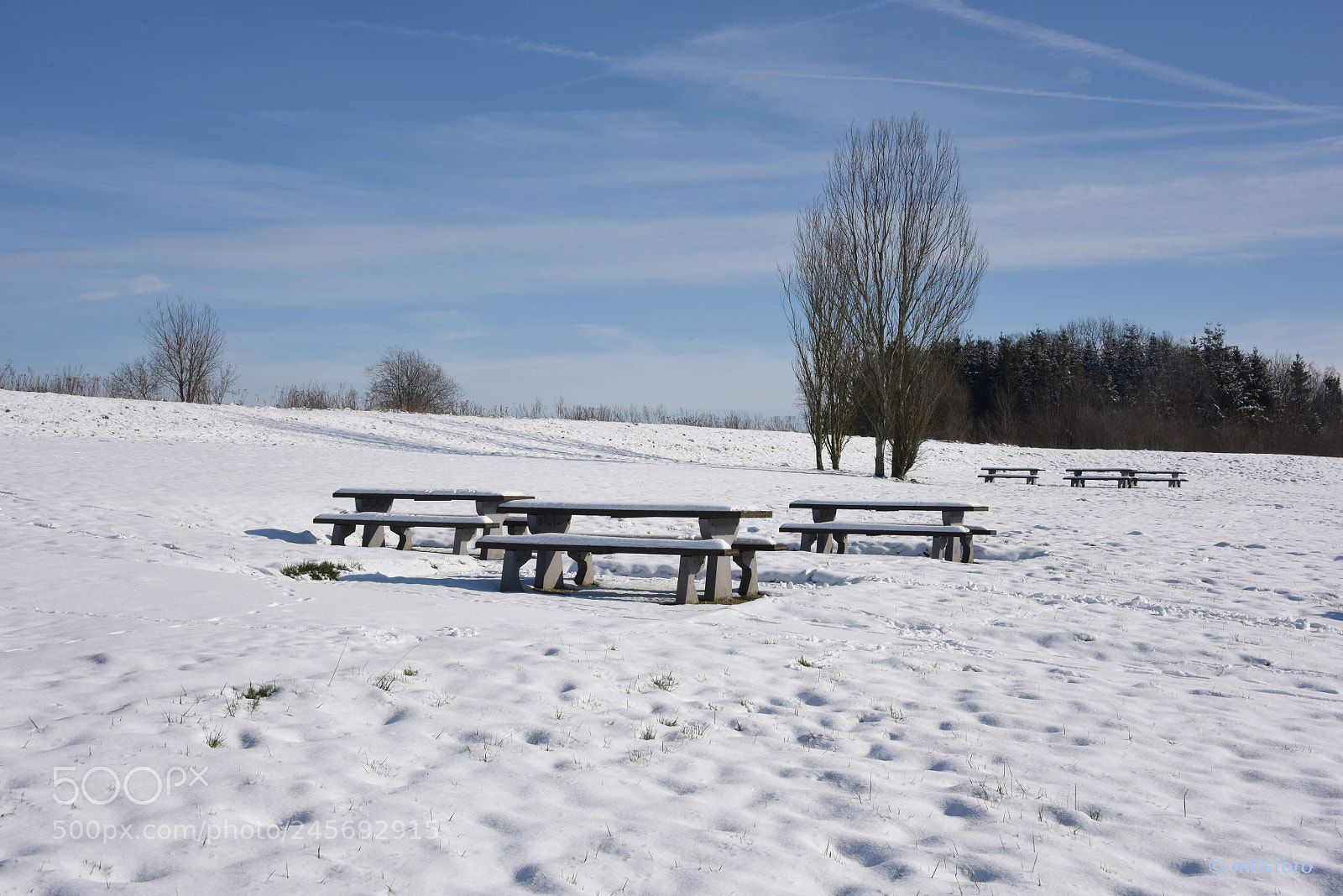 Nikon D810 sample photo. Snowy resting place photography