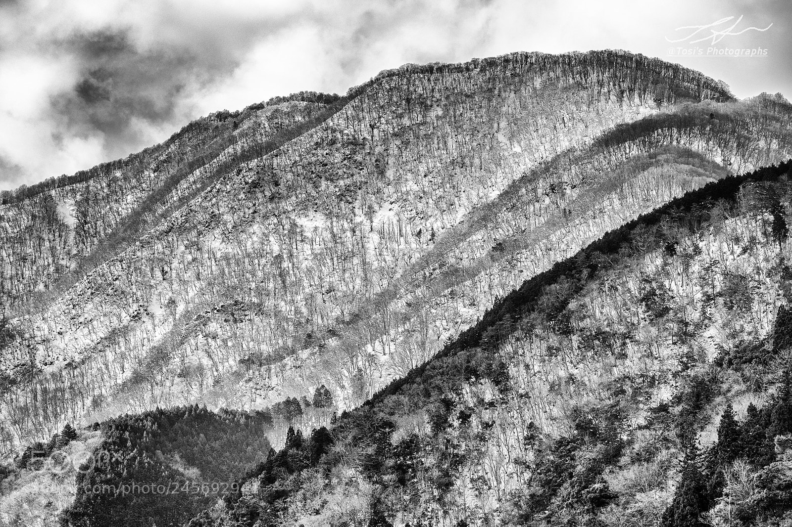 Nikon D850 sample photo. Snowy mountains 初冠雪 photography