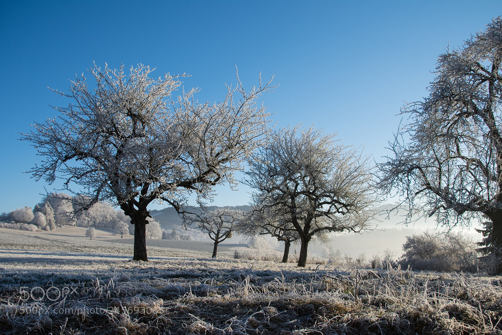 Nikon D7100 sample photo. Beautiful morning photography