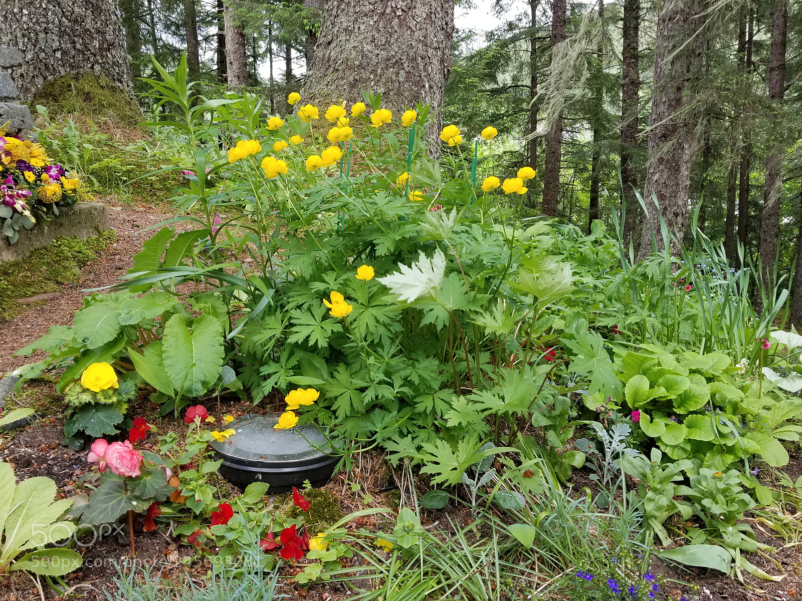 Samsung Galaxy S8+ sample photo. Untitled photography