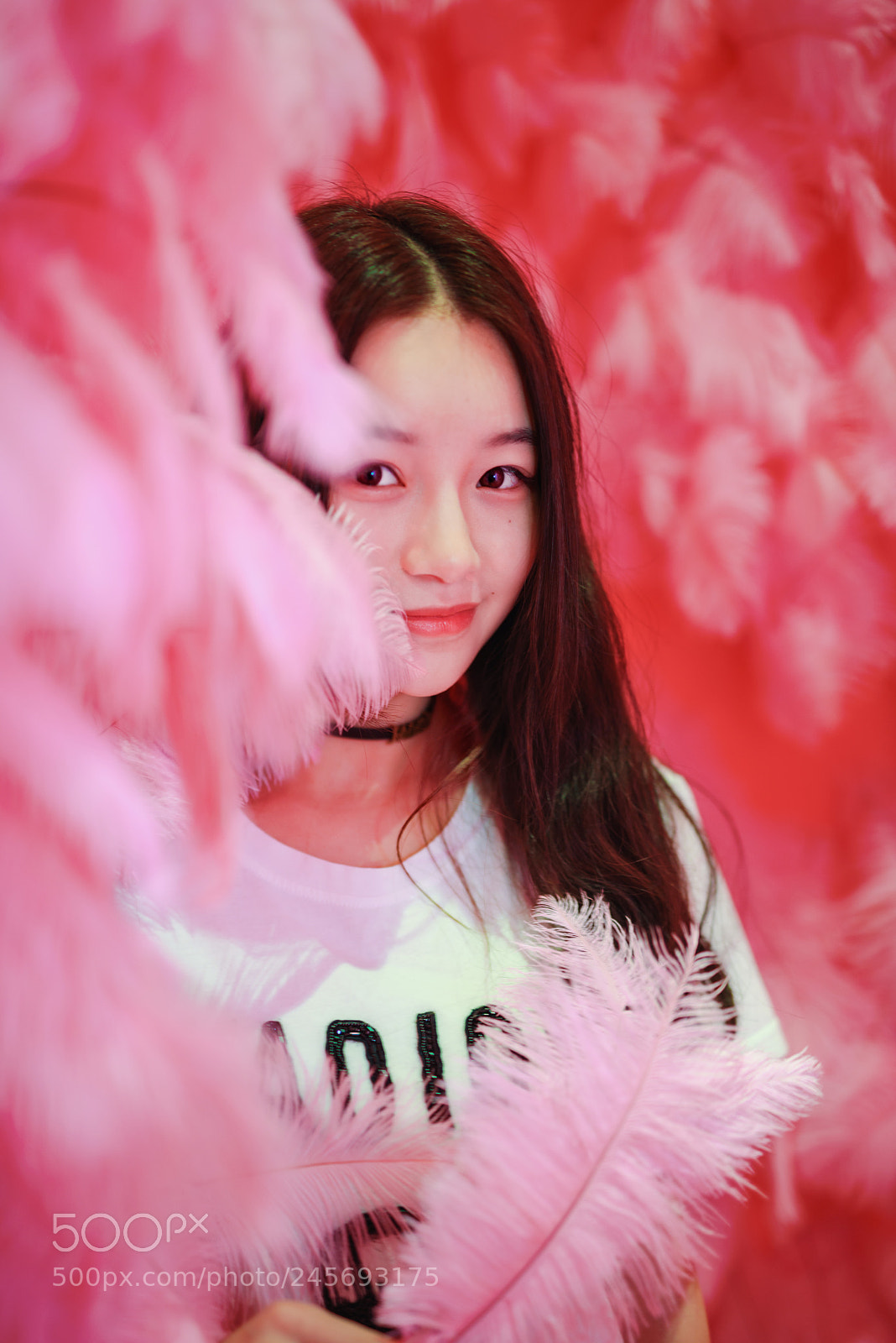 Nikon D810 sample photo. Pink feathers photography