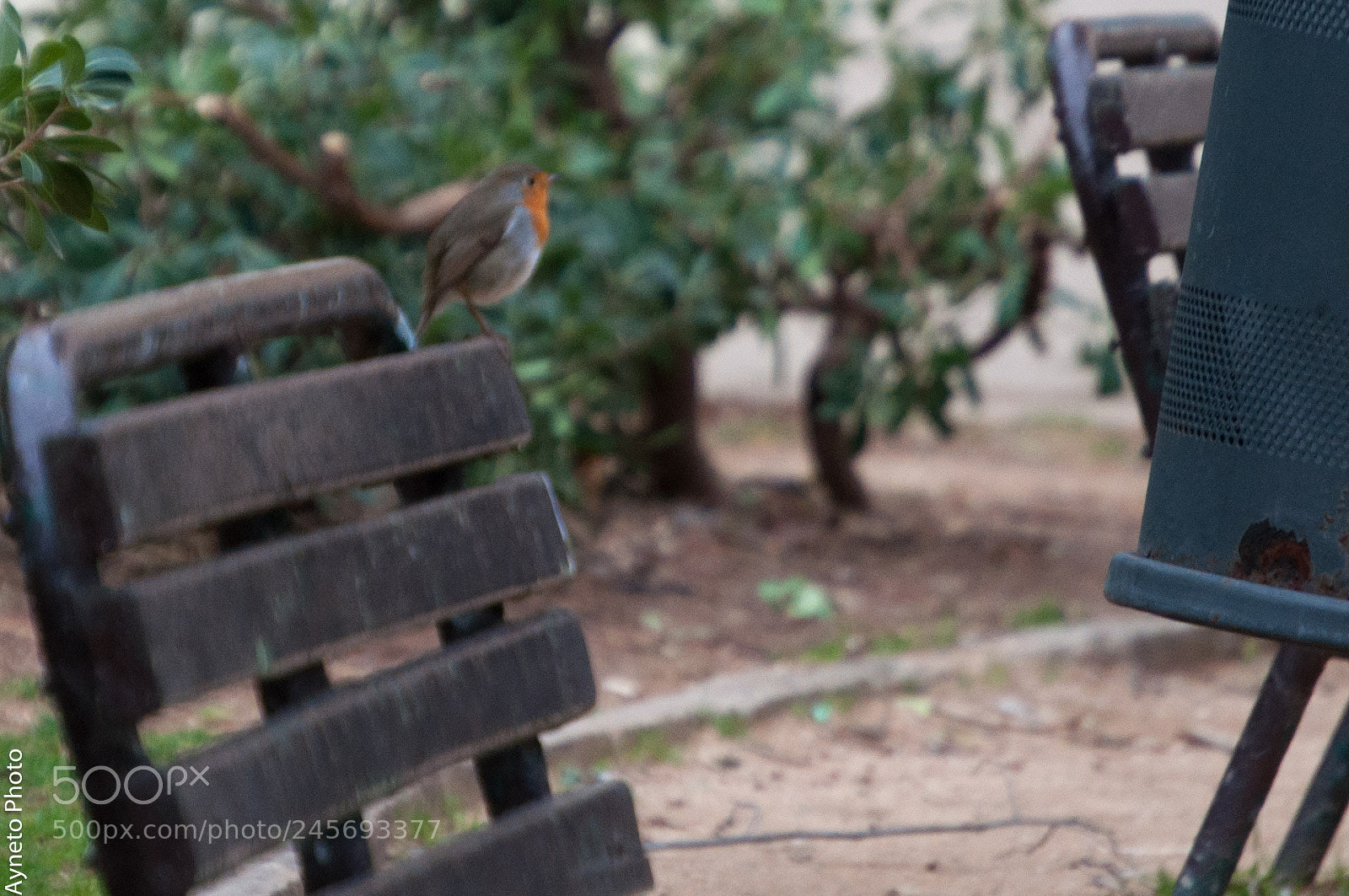 Nikon D5000 sample photo. Pitroig photography