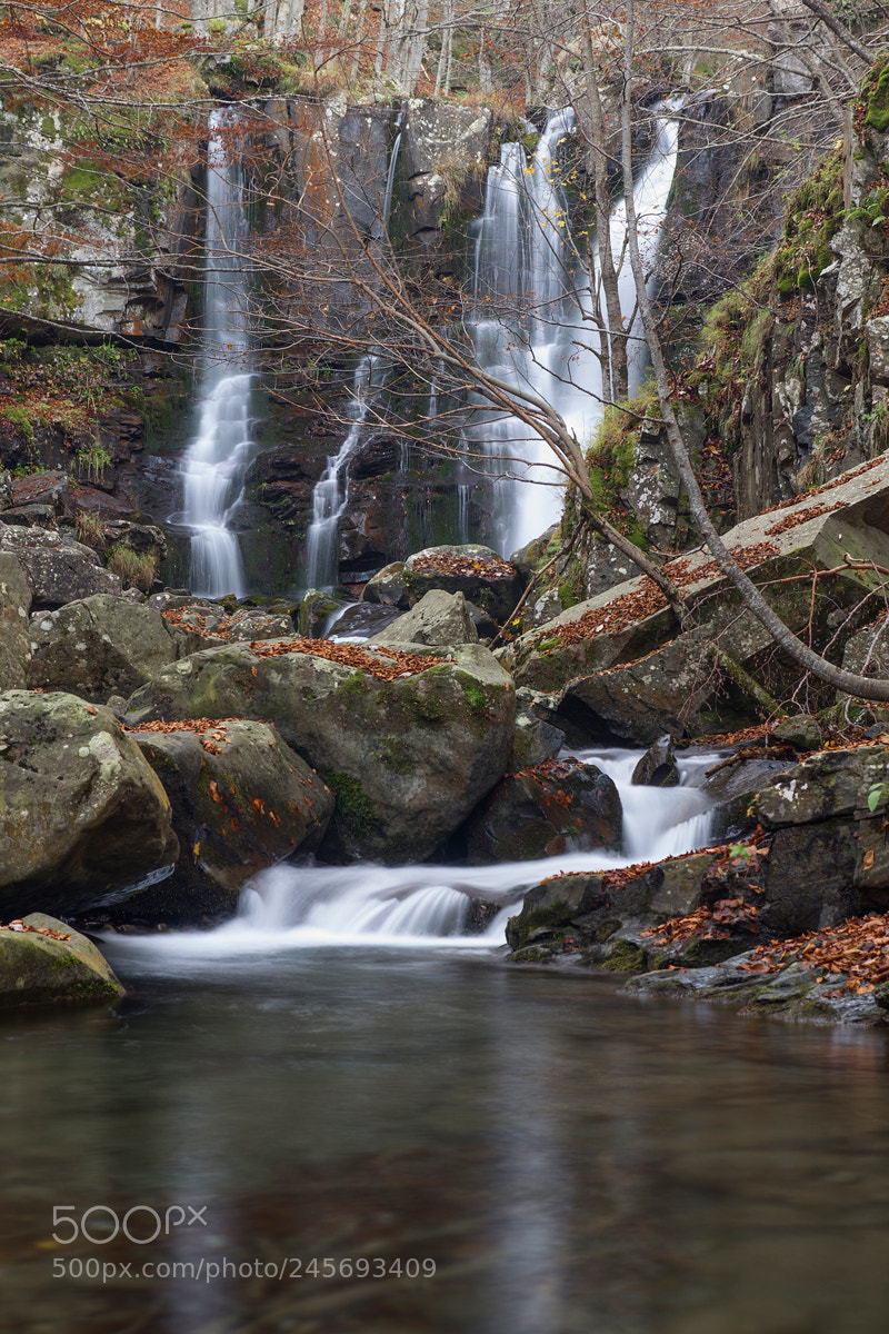 Nikon D600 sample photo. Untitled photography