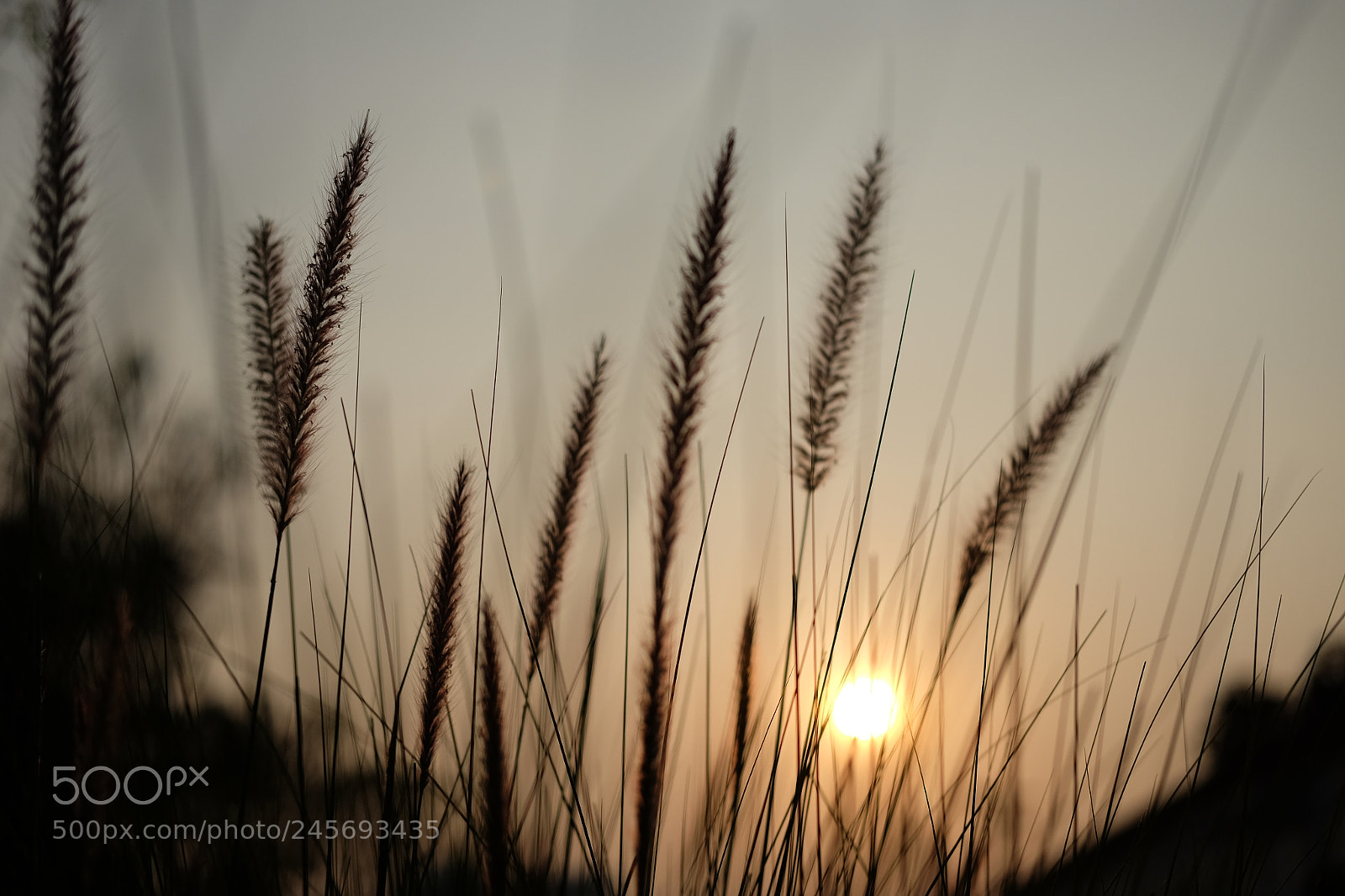 Fujifilm X-T10 sample photo. Tii photography