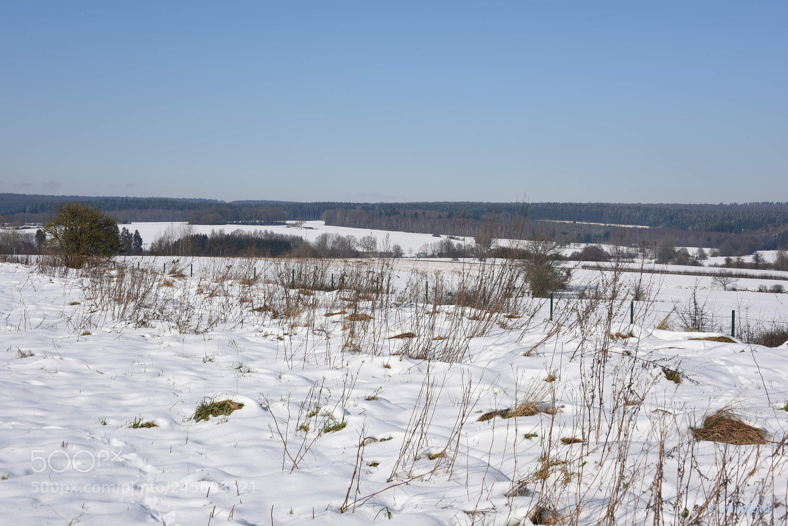 Nikon D810 sample photo. Snow landscape - rulles photography
