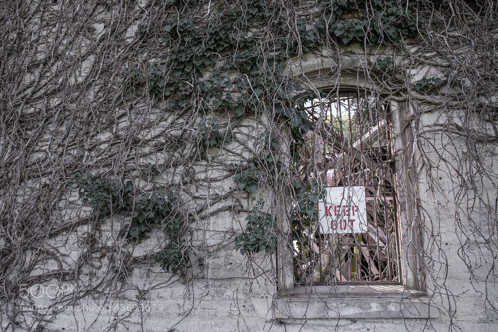 Canon EOS 6D Mark II sample photo. Keep out photography