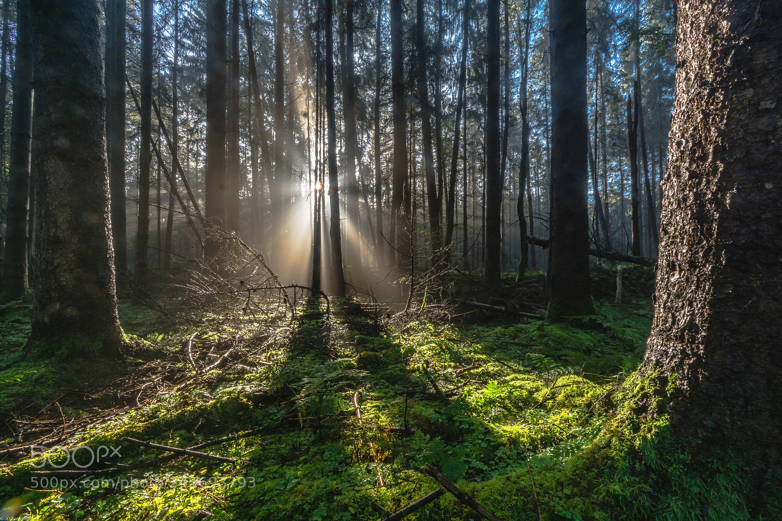 Sony ILCA-77M2 sample photo. Licht am ende des photography