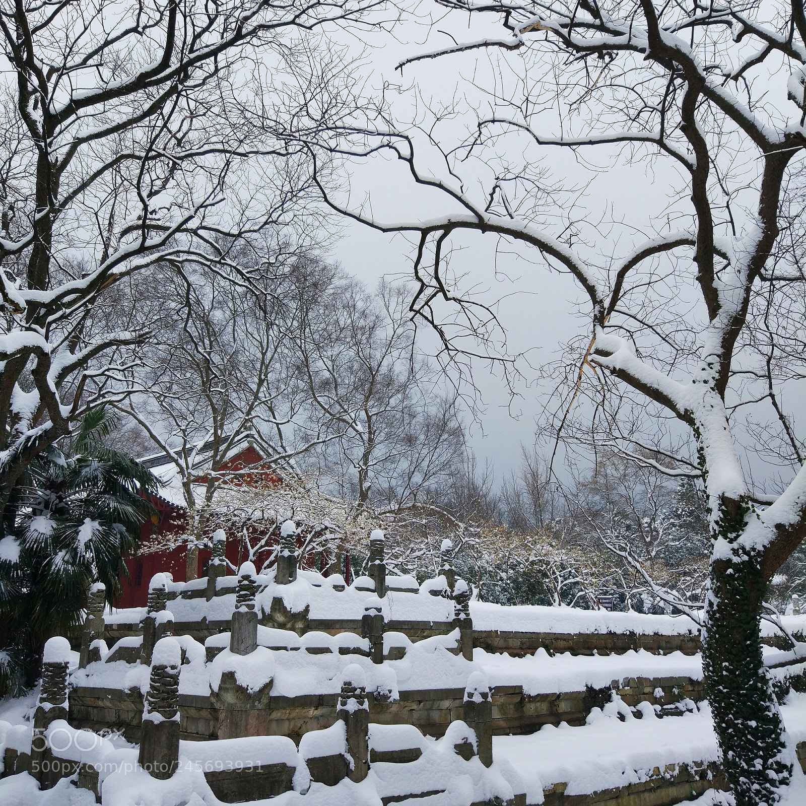Xiaomi MI 5 sample photo. 明陵雪 photography