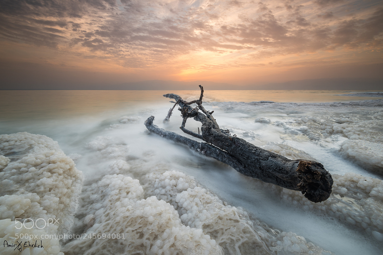 Nikon D810 sample photo. The log photography