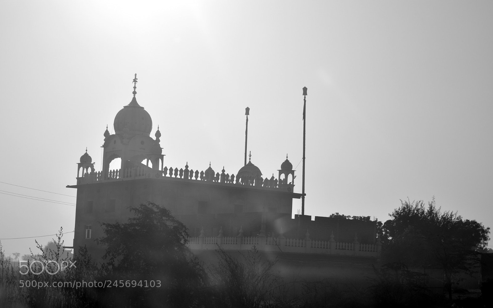 Nikon D5600 sample photo. Gurdwara photography
