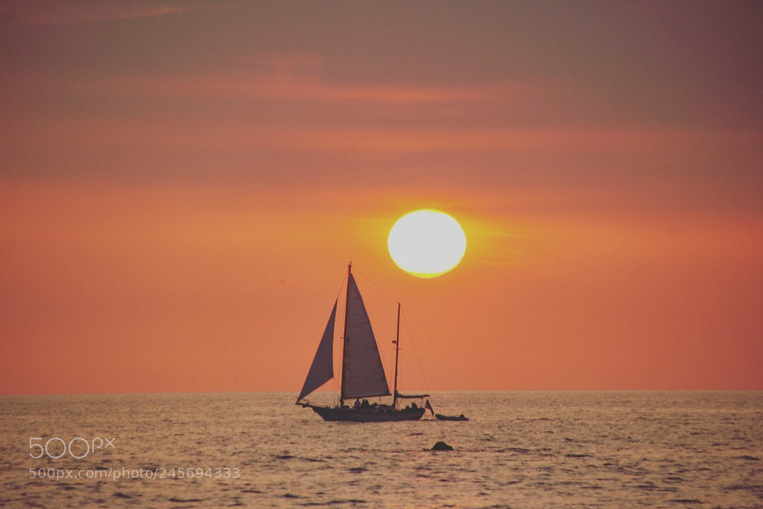 Canon EOS 760D (EOS Rebel T6s / EOS 8000D) sample photo. Santa monica photography