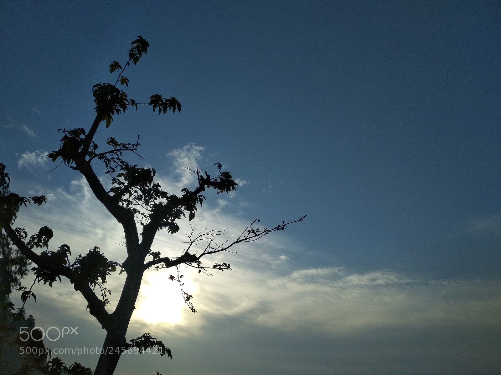 Xiaomi Redmi 4X sample photo. Untitled photography