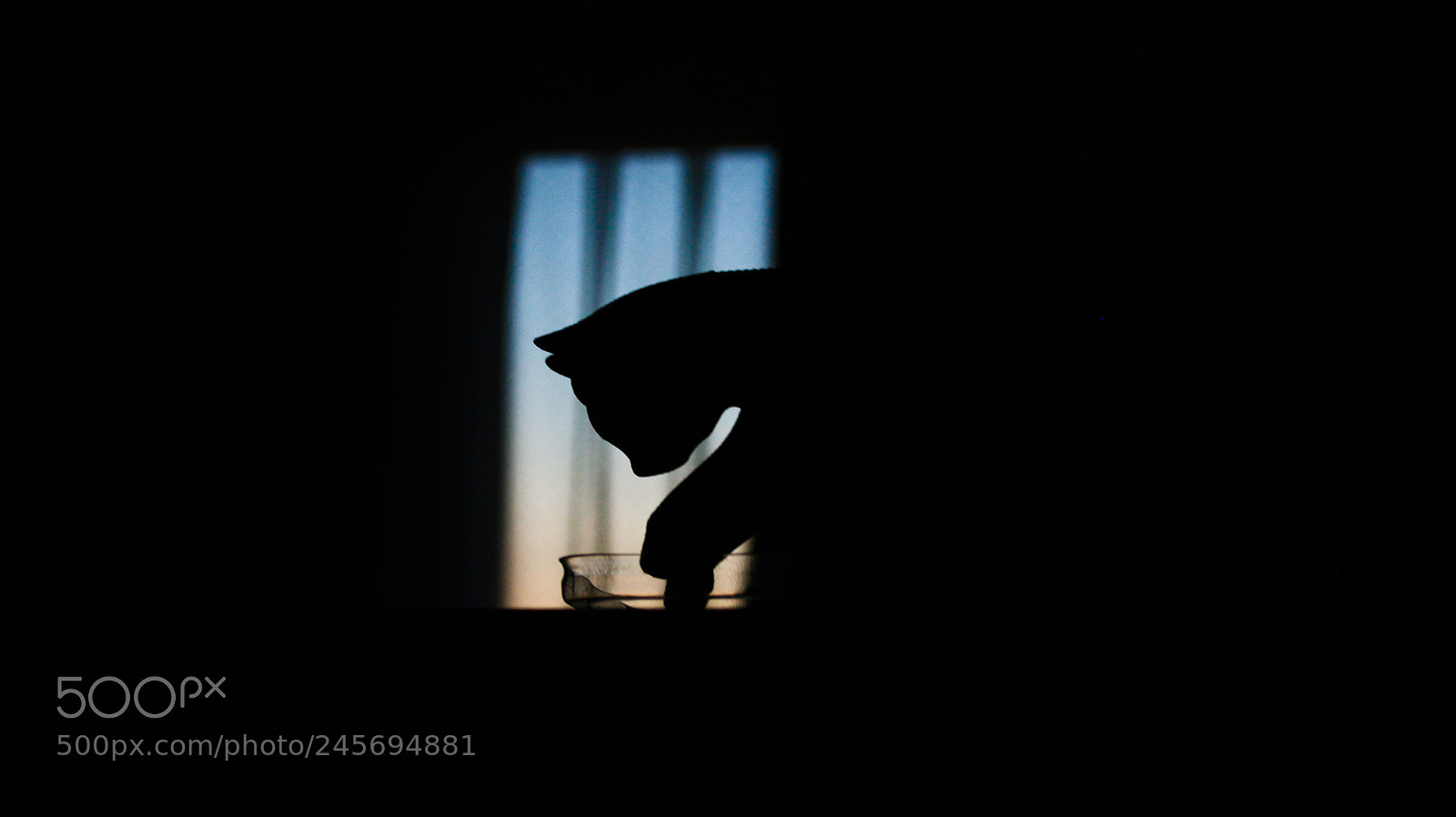 Canon EOS 700D (EOS Rebel T5i / EOS Kiss X7i) sample photo. Quiet cat photography