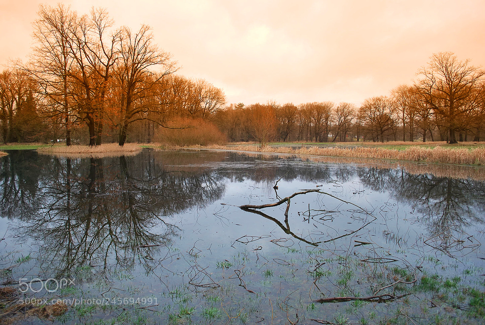 Nikon D60 sample photo. Sky and water paintings photography