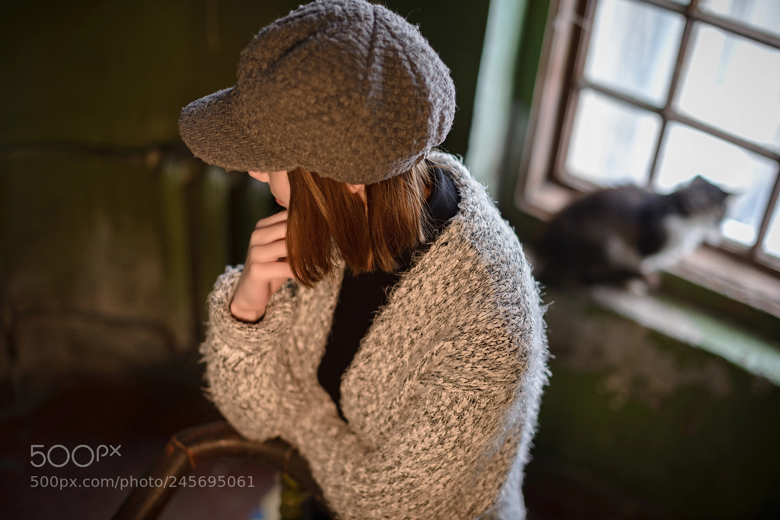 Nikon D600 sample photo. Сat on the window photography