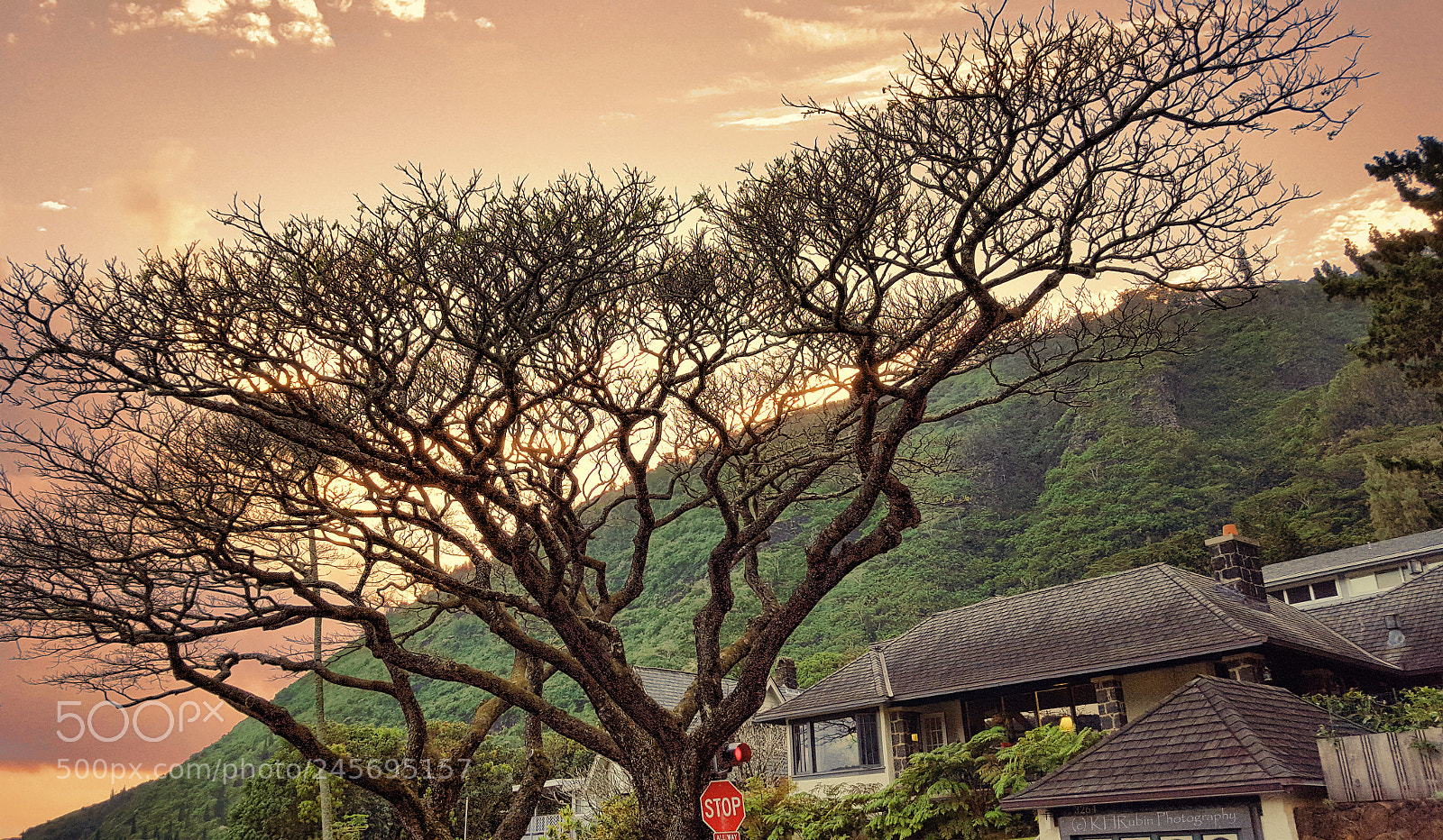 Samsung Galaxy S6 sample photo. Hawaii winter photography