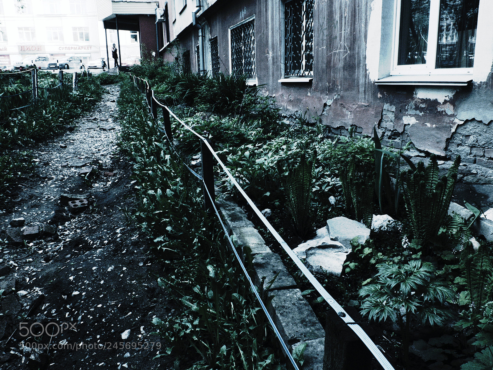 Fujifilm X20 sample photo. Палисадник frontage photography